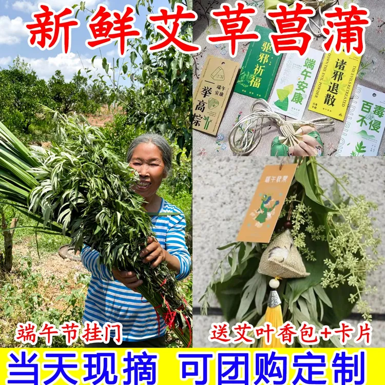 成都新鲜菖蒲艾草束挂门艾叶艾蒿包邮家用洗澡泡脚端午节活动定制