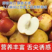 正宗冬枣新鲜当季水果甜脆枣子甜脆现摘整箱5斤