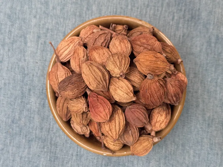 云南屏边深山新货精选足干无硫香砂仁香料调味品
