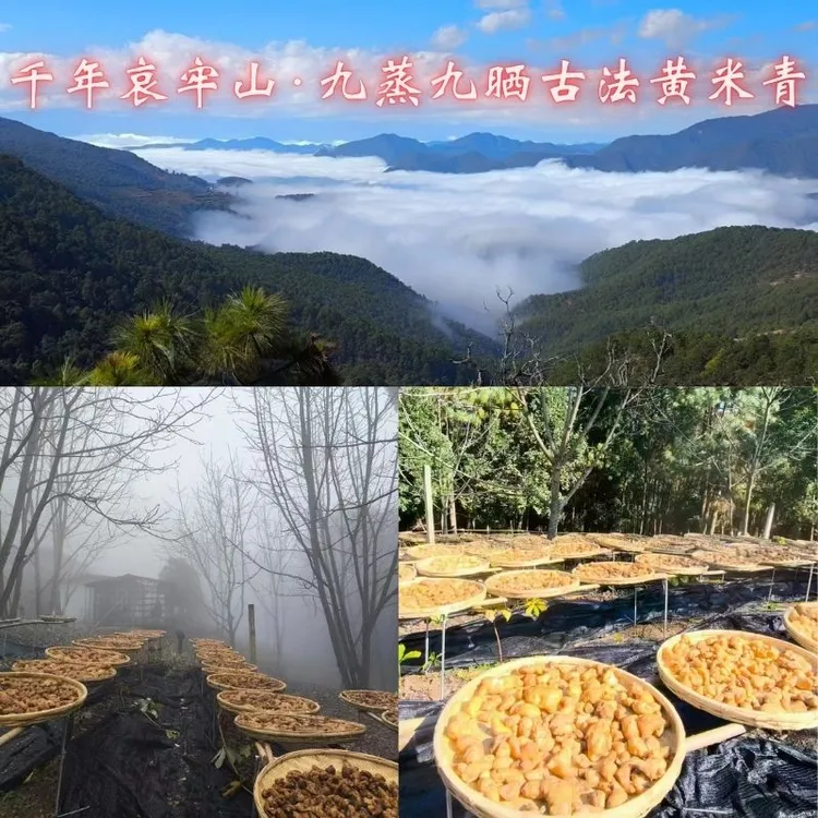 哀牢山 九蒸九晒黄米青 云雾滋养 搭配 桃胶