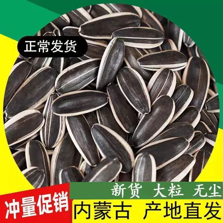 【五斤生瓜子】内蒙古大颗粒生瓜子休闲追剧零食年货必备产地直发