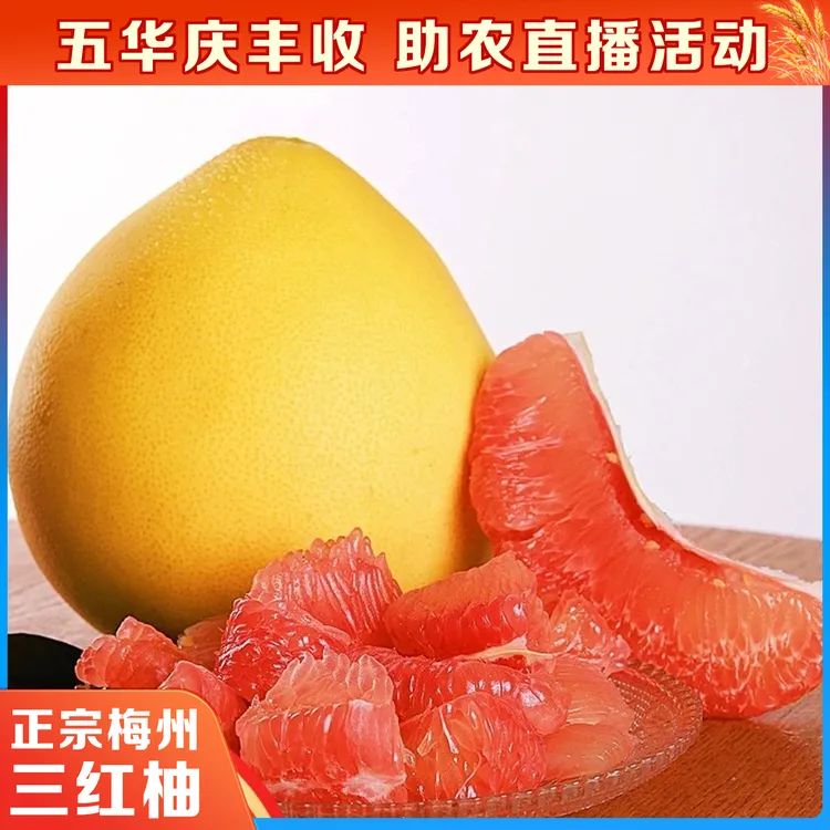 【40斤】正宗梅州三红蜜柚果园产地直发自然成熟新鲜水果顺丰发货