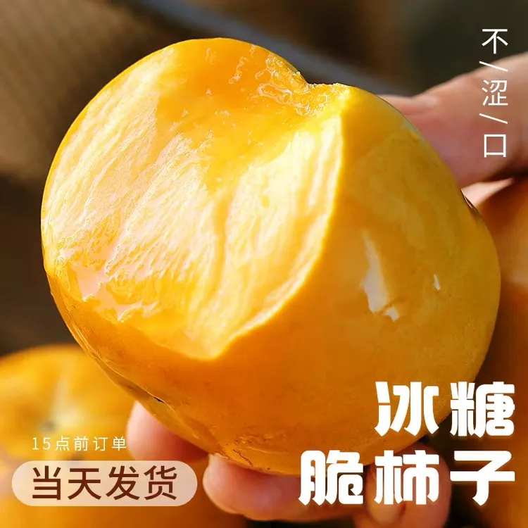 【产地直发】巧克力脆柿子5新鲜水果3斤脆甜硬柿子应当季柿子火晶