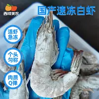 西域美农SF沿海速冻白虾3斤 500g/盒 活虾速冻肉质Q弹 蒸煮不缩水