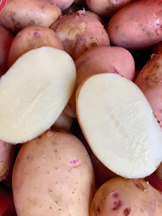 贵州高山洋芋低纬度高海拔种植粉糯可口土豆农家种植