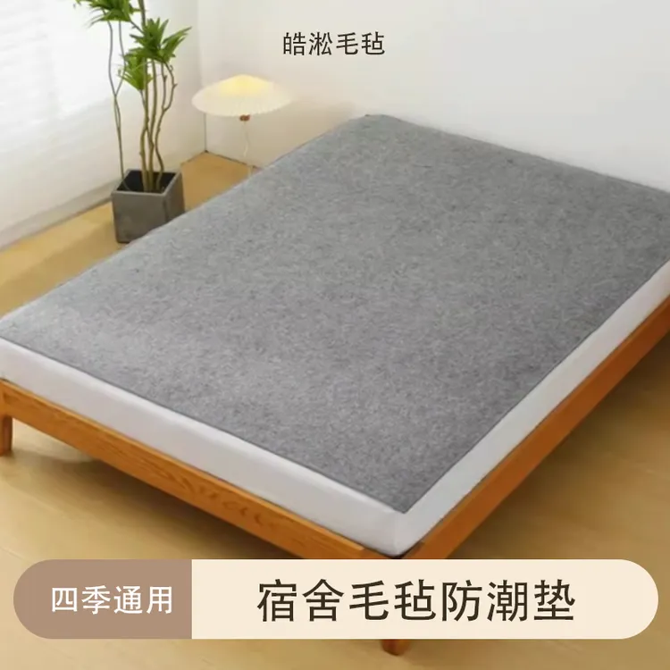 吸湿抗菌防潮垫防螨防霉家用学生宿舍上下铺毛毡宿舍防潮垫