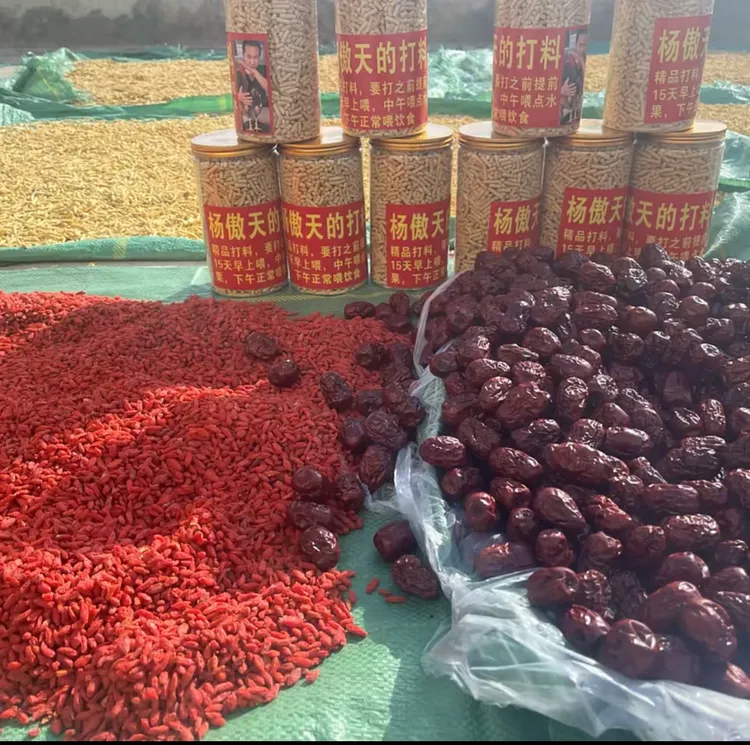 傲天斗鸡营养品补血补气