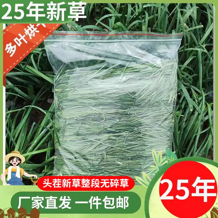 提摩西草25年饲料兔子食用牧草荷兰猪豚鼠兔粮饲料粮食零食用品
