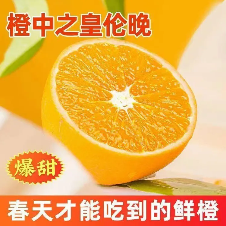 正宗秭归伦晚脐橙江边橙当季新鲜水果现摘现发