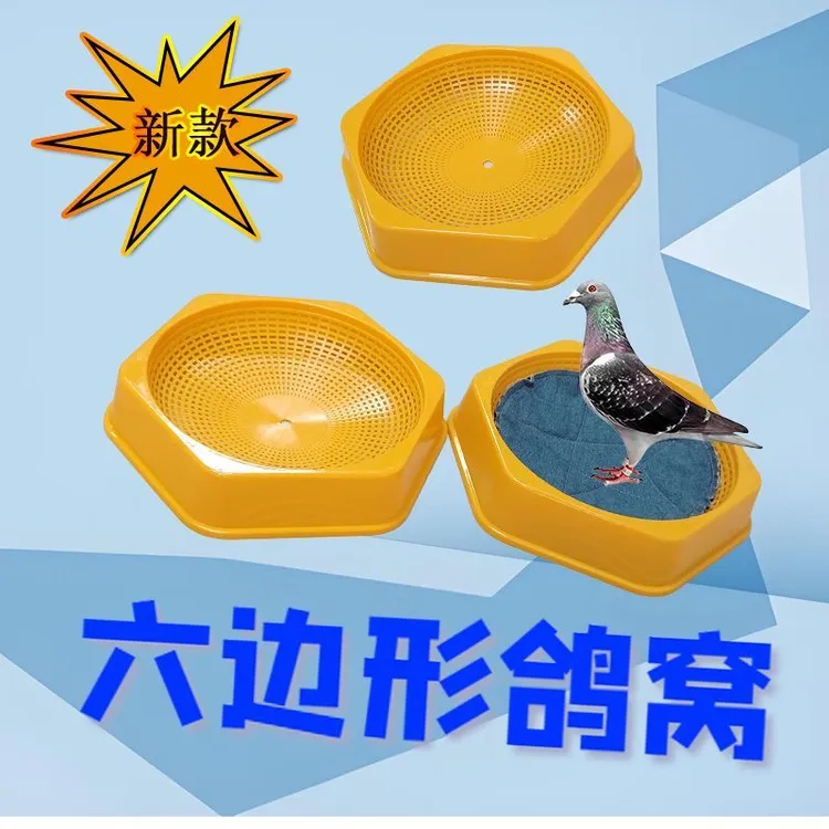 新款六边形鸽窝鸽子用品塑料窝信鸽赛鸽用品
