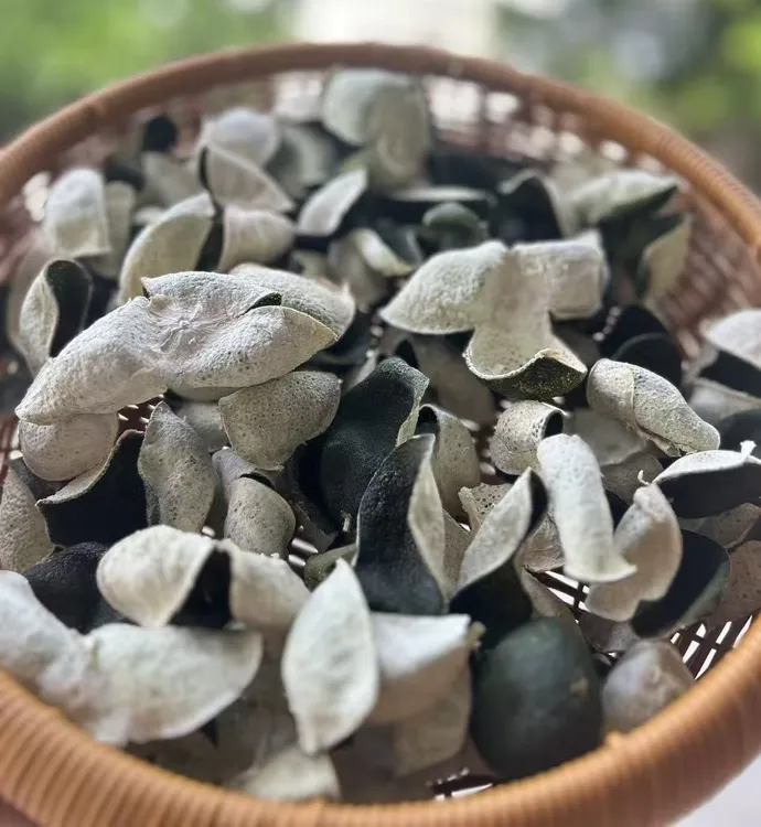 2025年新会梅江圈枝中青皮 新会陈皮 