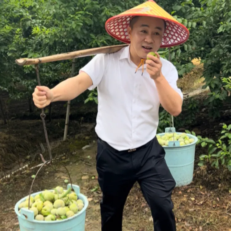 [清货】翁源正宗三华李红心李子青红脆李青李子新鲜现摘低热量水果