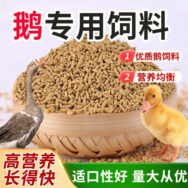 小鹅幼鹅中大鹅专用颗粒饲料育肥鹅饲料通用全价料高蛋白开口料