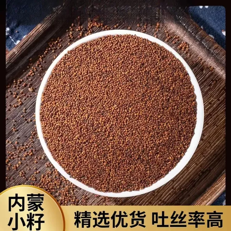 【邮政农品】菟丝子正品泡水喝吐丝率高内蒙正品菟丝子搭配枸杞