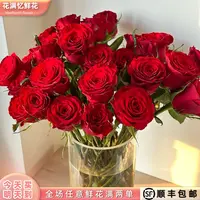 次日达 -【永远都热烈的红玫瑰】10支新品红玫瑰鲜花鲜切花家居花批发满两单顺丰包邮三单送花瓶今天拍明天到ee