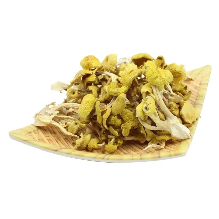 （划拉哥团长专属）东北榆黄蘑干货【支持试吃一袋】味美鲜香煲汤佳品