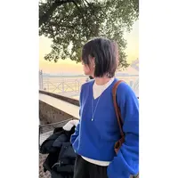 苏安家｜“幸运色” 400g高克重全羊毛克莱因蓝超厚实v领毛衣