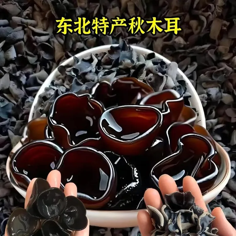 东北秋木耳无根肉厚试吃100克