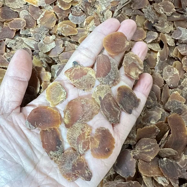 Q高丽参炖汤泡水