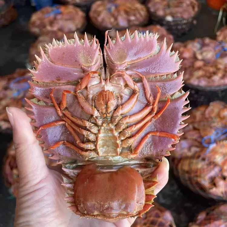 （保鲜不保活）台州琵琶虾 虾排 充氧活发顺丰包邮