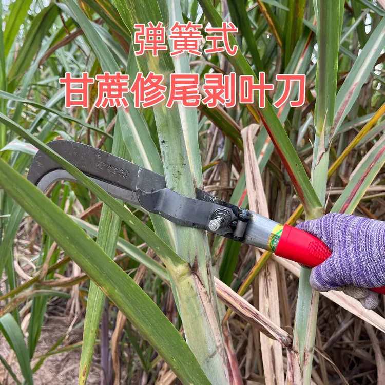 砍甘蔗专用刀农用工具蔗农专用弹簧式夹多用途甘蔗刀