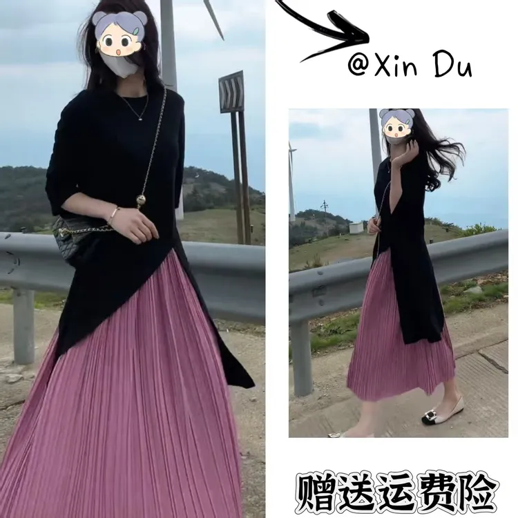 2025秋季新款时尚显瘦气质女士网红洋气两件套百搭款D22155