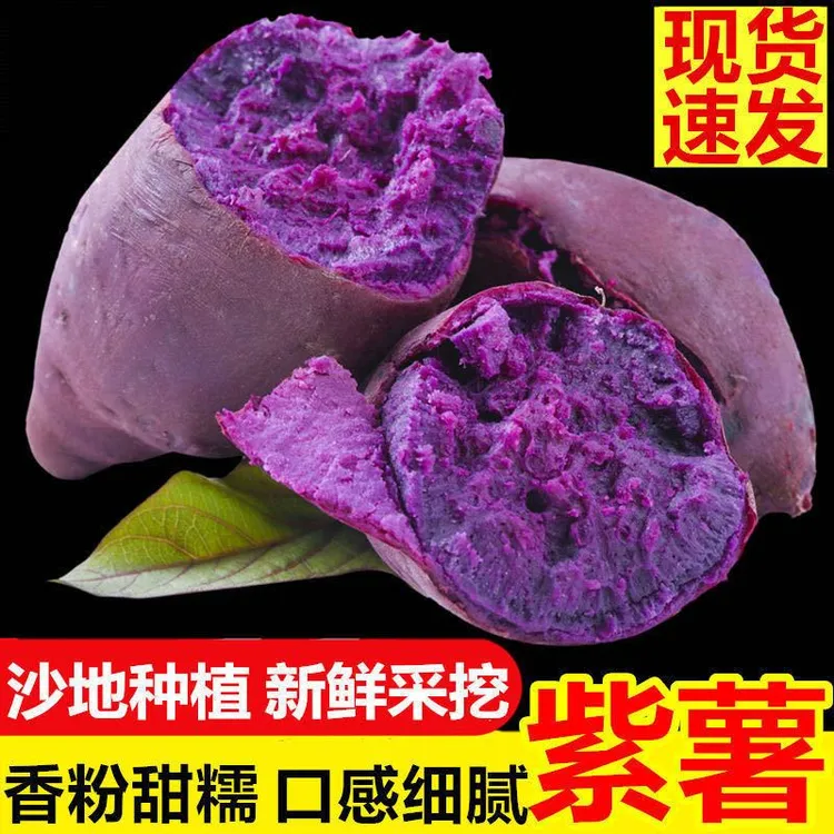 新鲜沙地现挖粉糯香甜粗粮代餐健康美味专用净重紫薯沙地紫薯