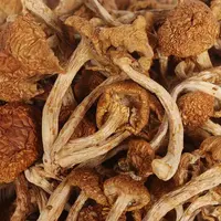 250g滑子菇干货山珍滑菇香菇特产小鸡炖蘑菇滑嫩好吃炖汤