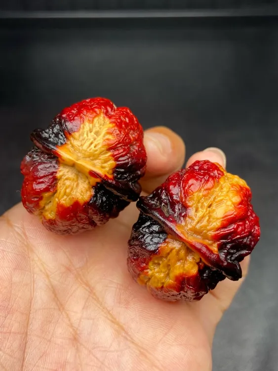 云南铁核桃 文玩核桃 39-40尺七彩蝴蝶蟾发货图片同款随机一对