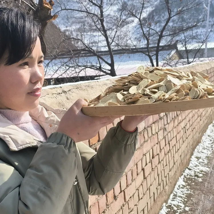 甘肃自家种植黄芪大片250-500克