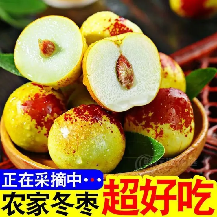 果园直发冬枣脆甜新鲜水果正宗鲜枣大枣脆枣批发