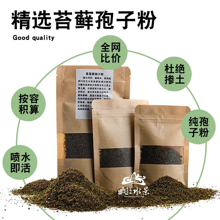 优选苔藓孢子粉种子上水石盆景铺面造景微景观保湿水景草