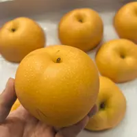 【山东产地直发】秋月梨4.5斤起新鲜水果顺丰包邮