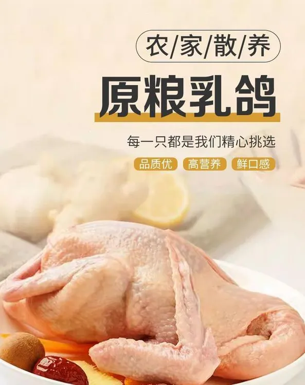 淮羽优顺丰3只新鲜杂粮土鸽子炖炒乳鸽农家散养鸽子生鲜鸽肉大补