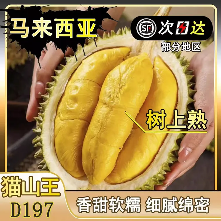 AA果保5房 整果榴莲猫山王D197树熟马来西亚进口液氮冷冻2.5-7斤