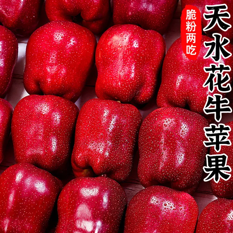 【脆粉两吃】甘肃天水花牛苹果3-9斤红蛇果新鲜水果小苹果红苹果