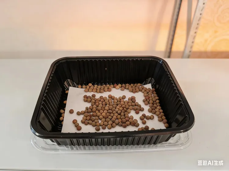 种子+育苗盒+育苗纸