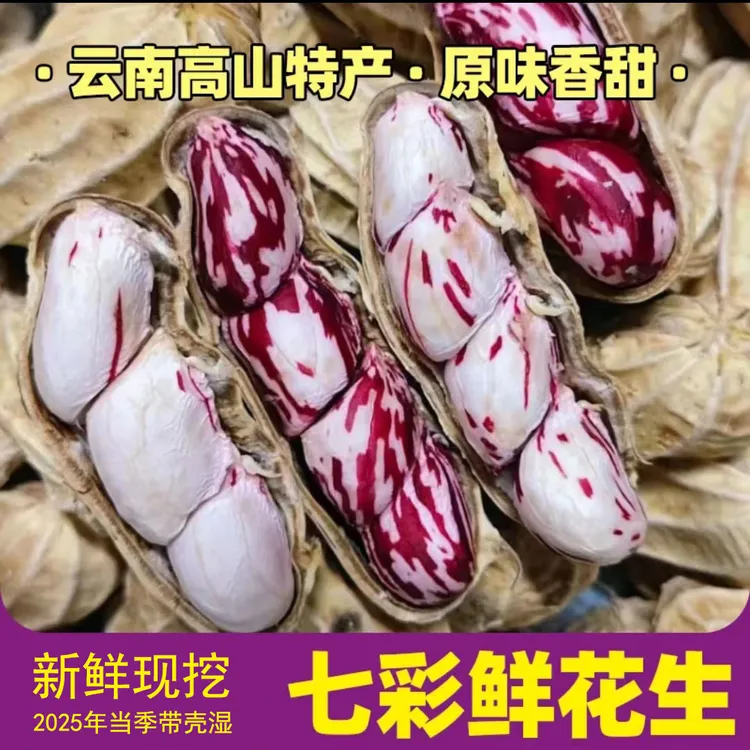 2025新鲜现挖云南七彩花生带壳五彩水果正宗牛奶花生现发自种蔬菜