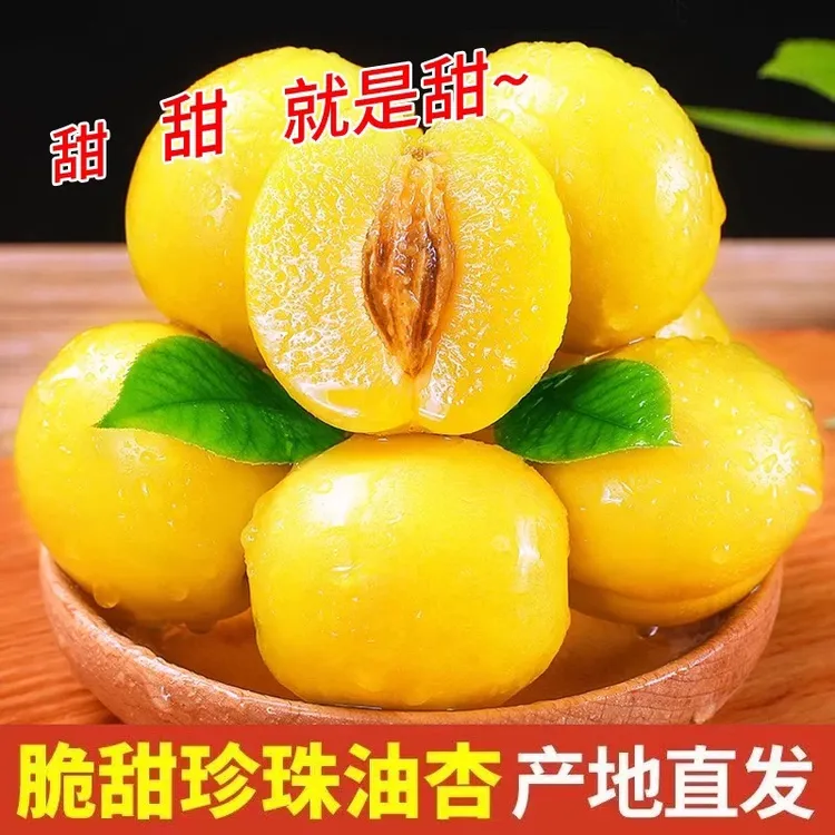 【顺丰发货】正宗珍珠油杏应季新鲜水果皮薄肉厚香甜多汁