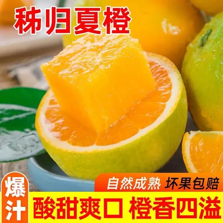 (现摘)湖北秭归九月红中华红血橙伦晚果冻橙现摘新鲜水果橙子