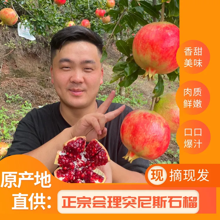 正宗会理应季突尼斯软籽石榴新鲜釆摘