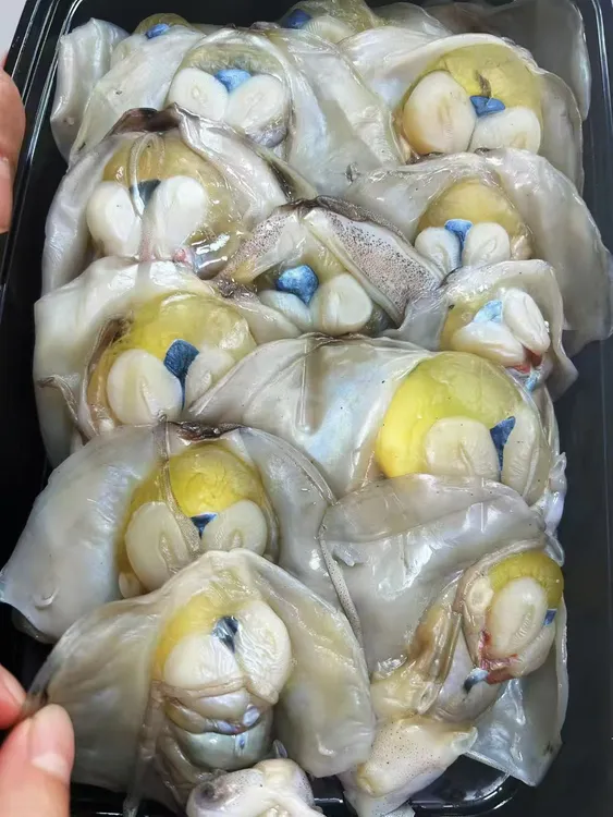 舟山野生带膏墨鱼仔鲞 小乌贼门子 微咸 200克/袋