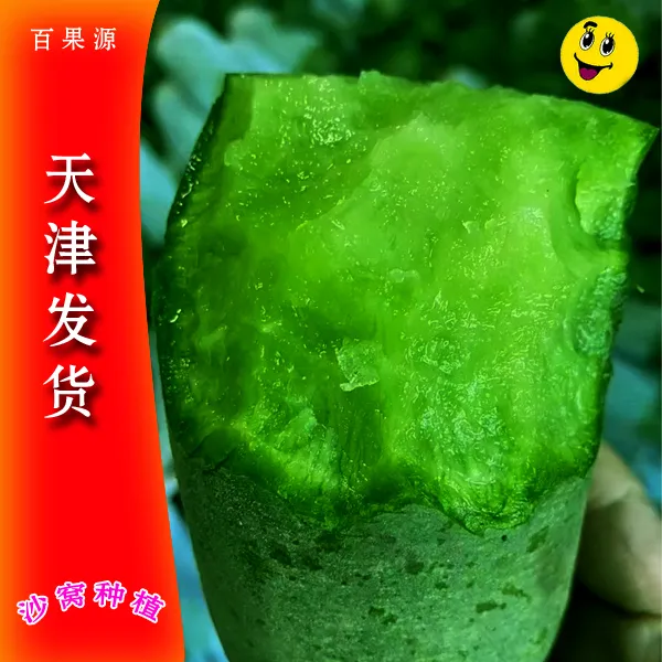 顺丰包邮天津沙窝脆甜新鲜水果萝卜生吃青萝卜应季水果萝卜