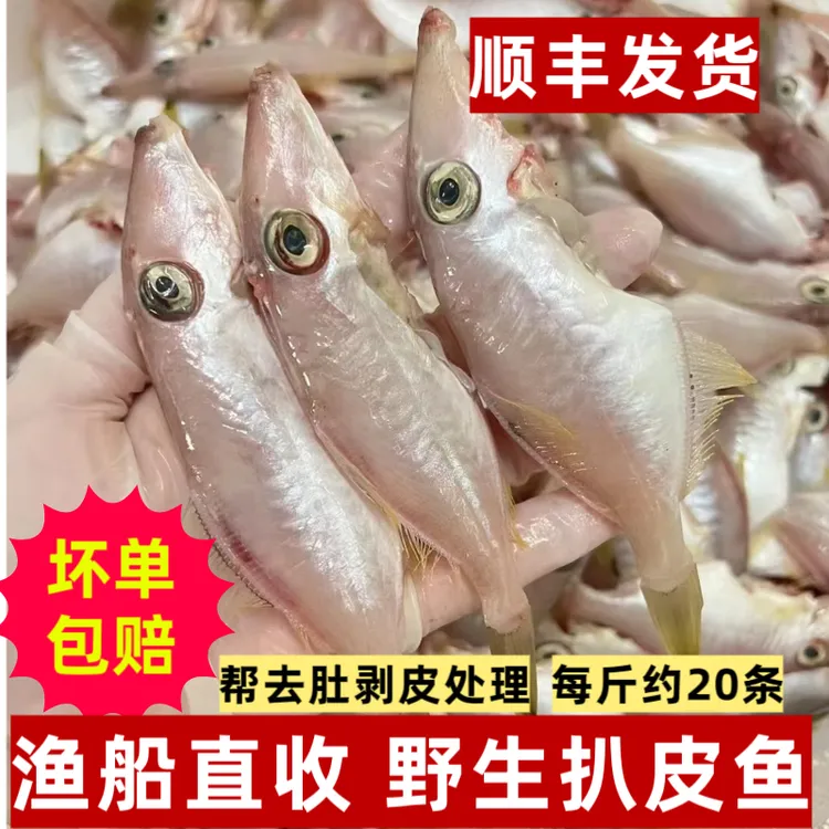 耗儿鱼小扒皮鱼海鲜水产冰鲜活冷冻生鲜食材马面新鲜深海鱼剥皮牛