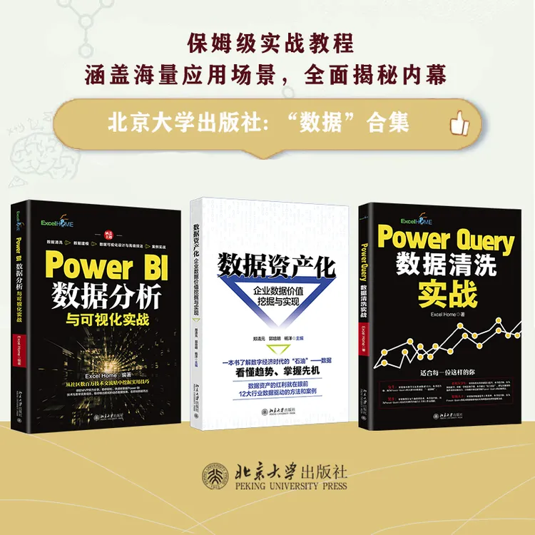 【自选】数据资产化&Power BI数据分析&PowerQuery数据清洗
