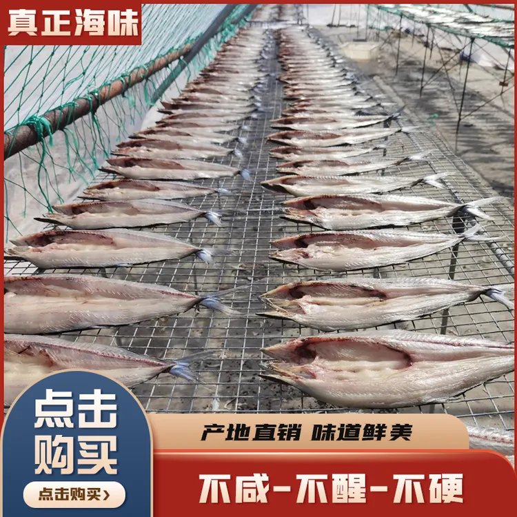 【粉丝专属】青岛本地鲅鱼干甜晒燕尾一卤鲜咸淡适中不泡烹饪简单