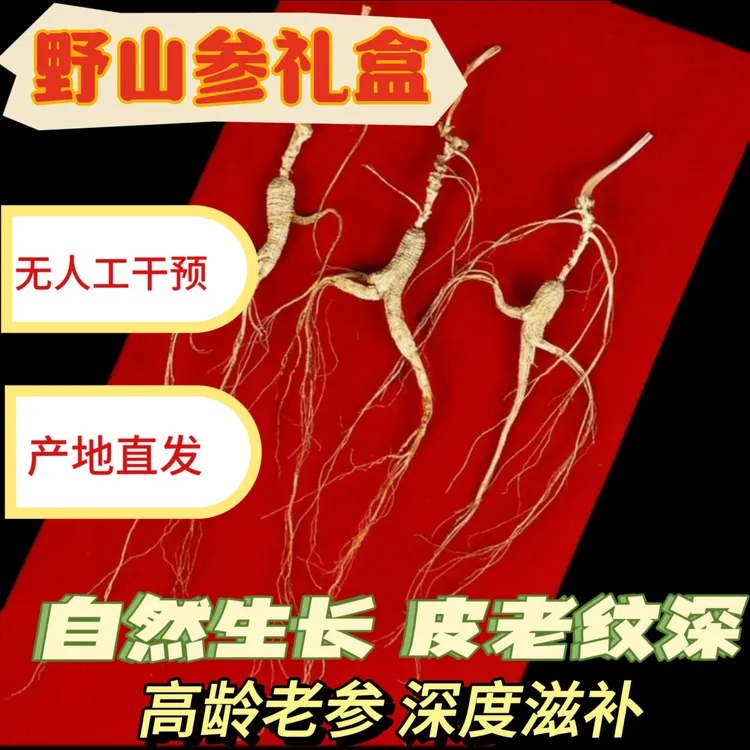 高档山参礼盒东北长白山林下野参礼盒高端礼品