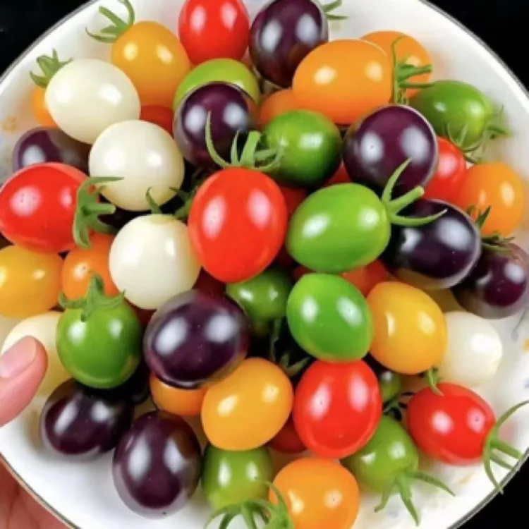 （盲盒）多色小番茄组合（最少三色）酸甜多汁顺丰包邮（颜色随机）