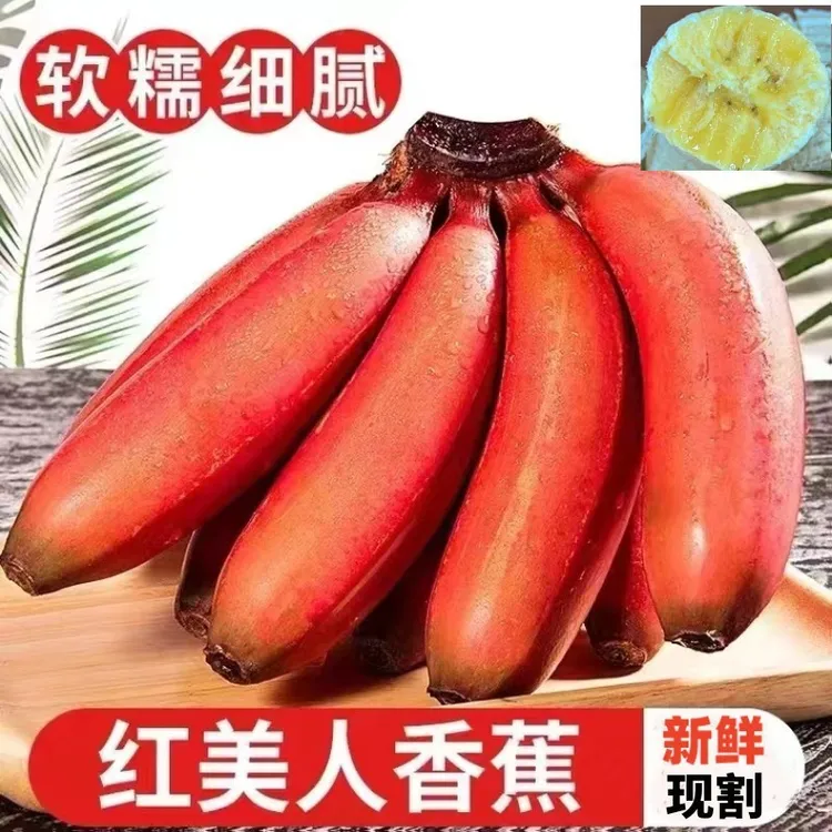 现摘红美人香蕉红皮香蕉新鲜热带水果整箱福建红皮蕉软糯香甜香蕉