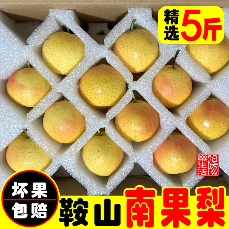 【阳乐自营】鞍山特产海城南果梨南国梨小香水梨酸甜酒香味5斤包邮